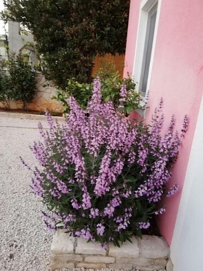 Apartmani Poljanec Vir Exteriör bild